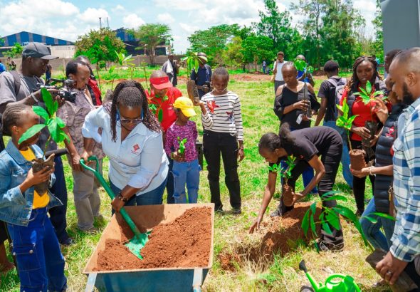 WhatsApp Image 2026-04-03 at 07.07.34